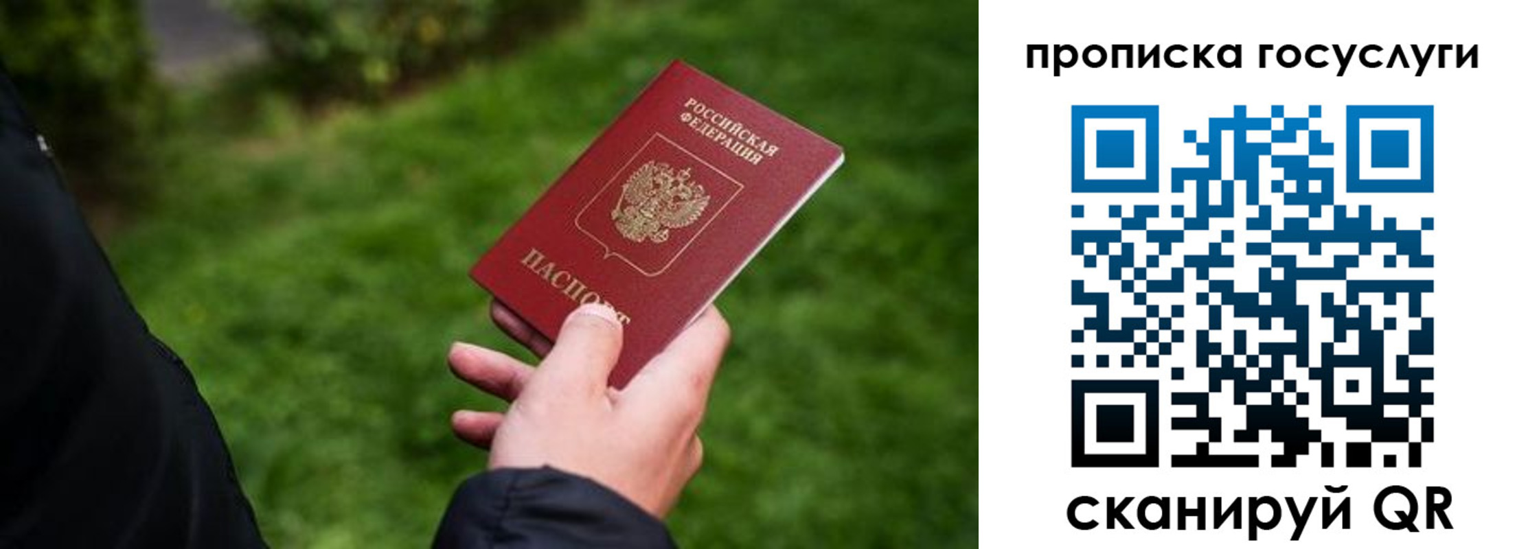 прописка для работы в Пересвете